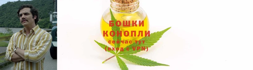 Бошки Шишки OG Kush  Кинель 